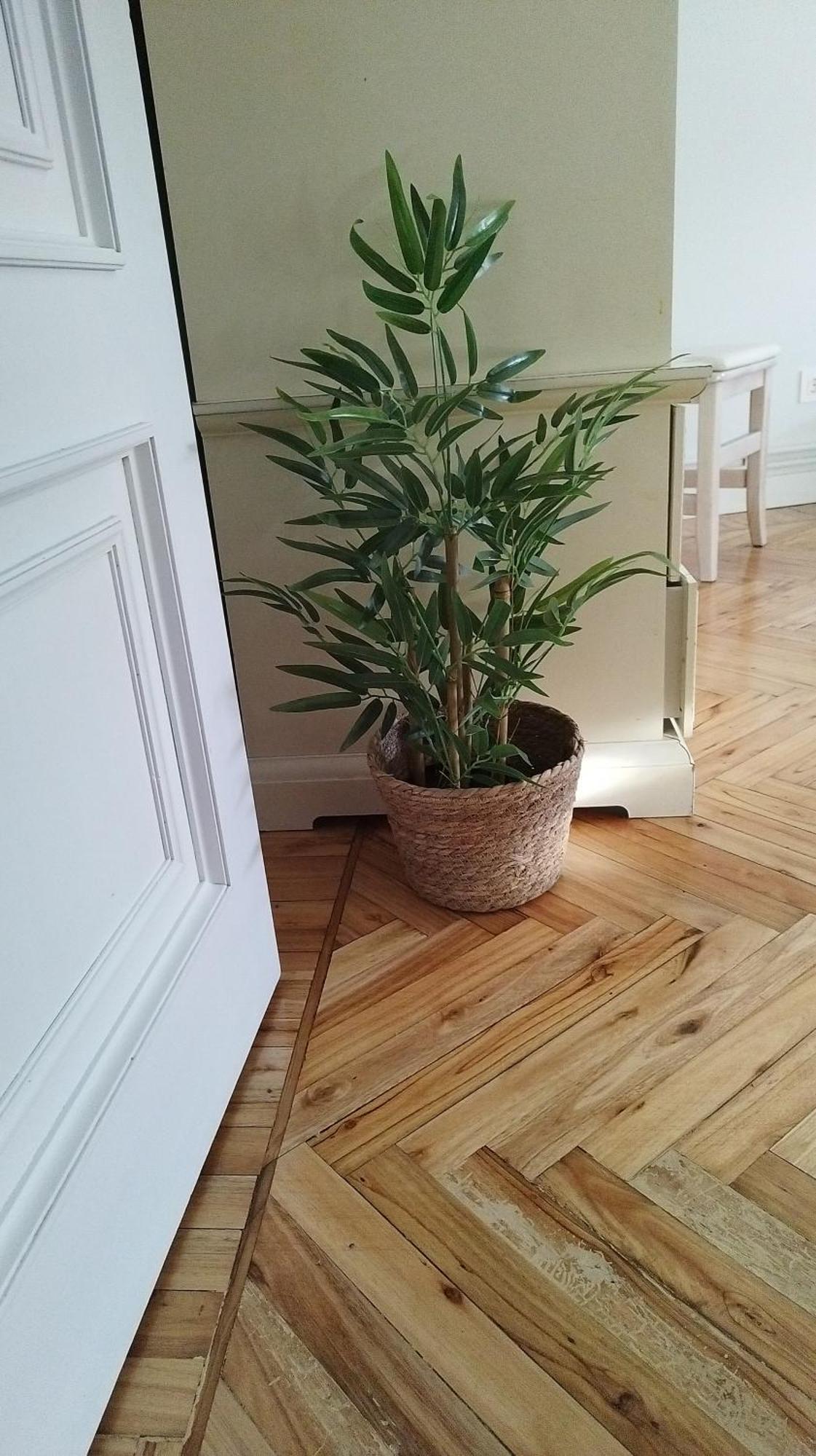 Casa Angela Apartment Santoña Екстериор снимка